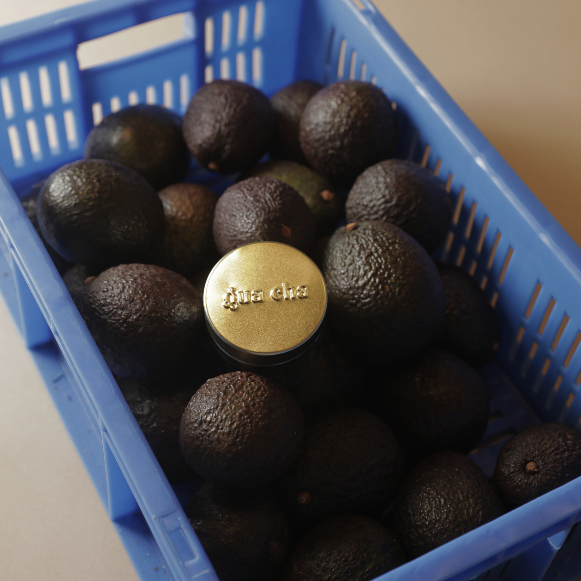 GC Classic — House Selection