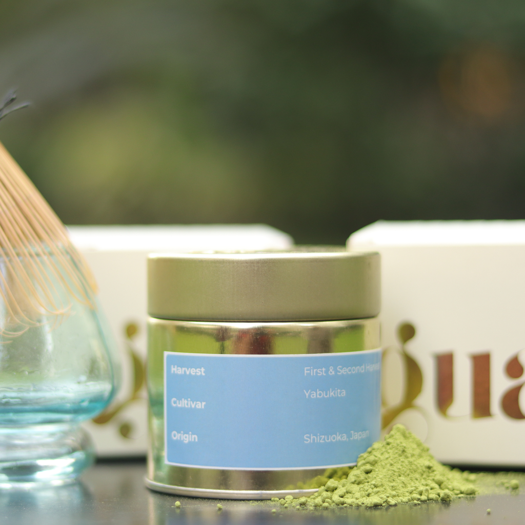 gua-cha-classic-ceremonial-grade