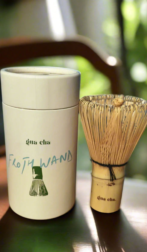 GC's Froth Wand